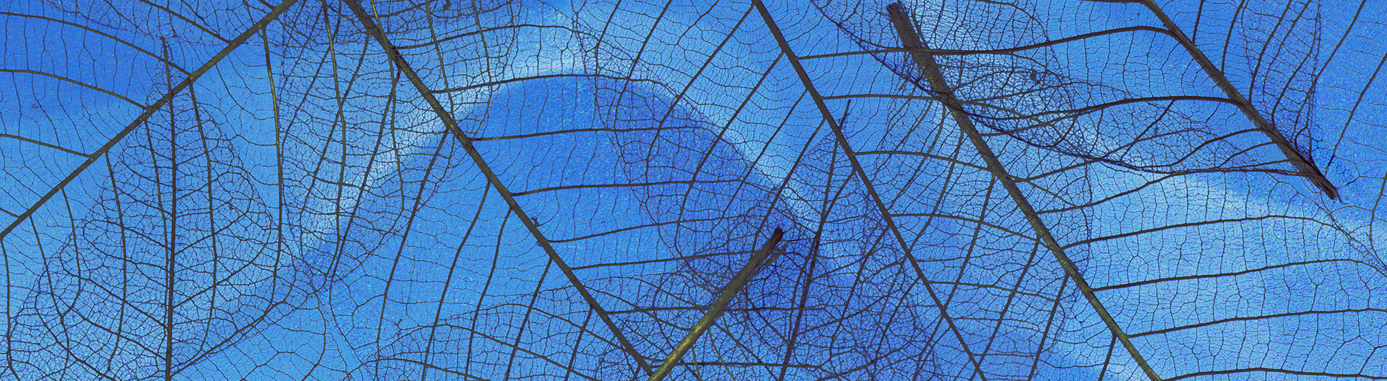 Perpetual Diversified Income Fund - Class S