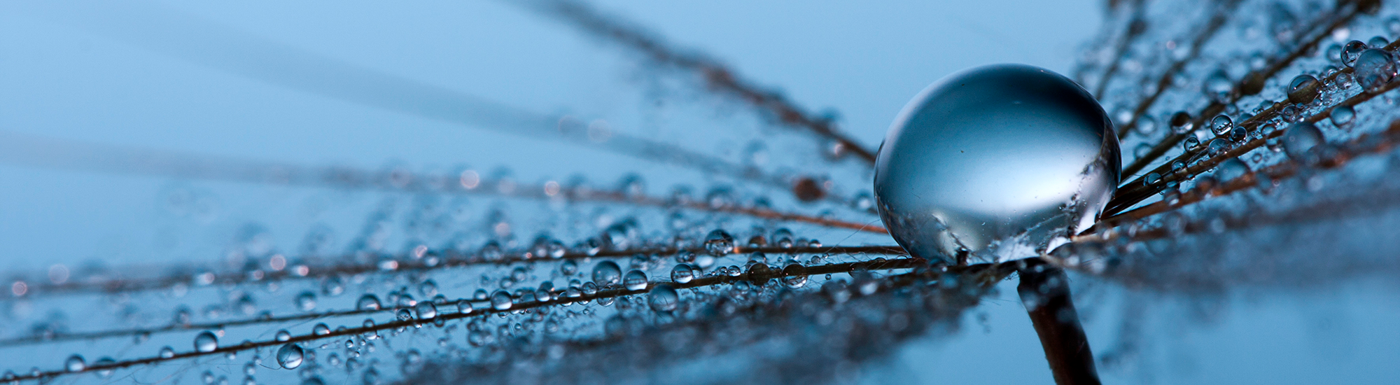 Perpetual Pure Value Share Fund - Class A