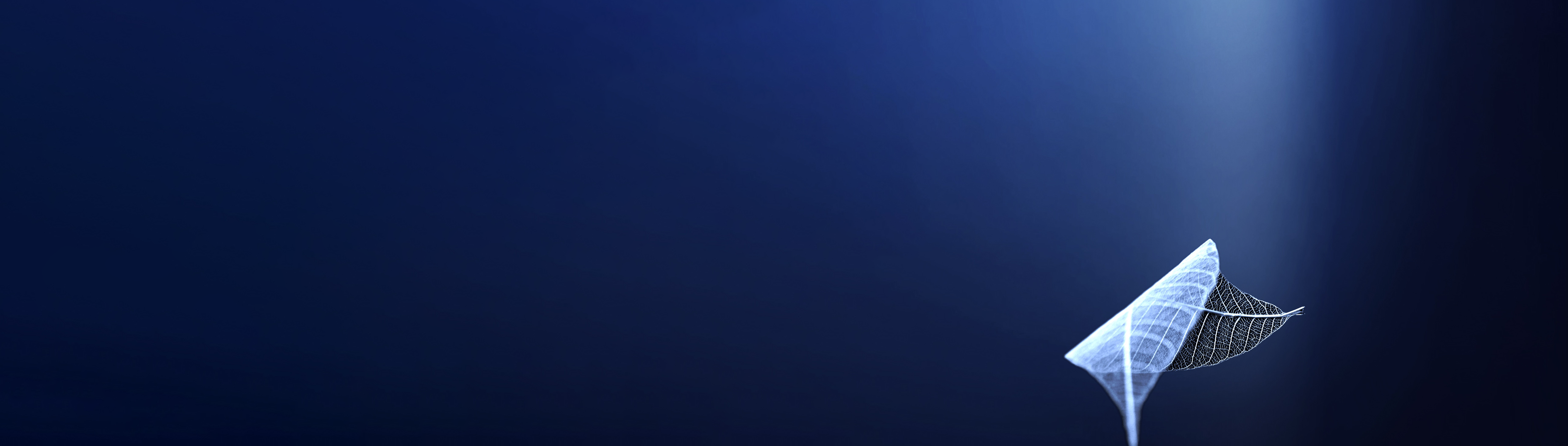 Direct Australian Equities Responsible Investment Managed Portfolio